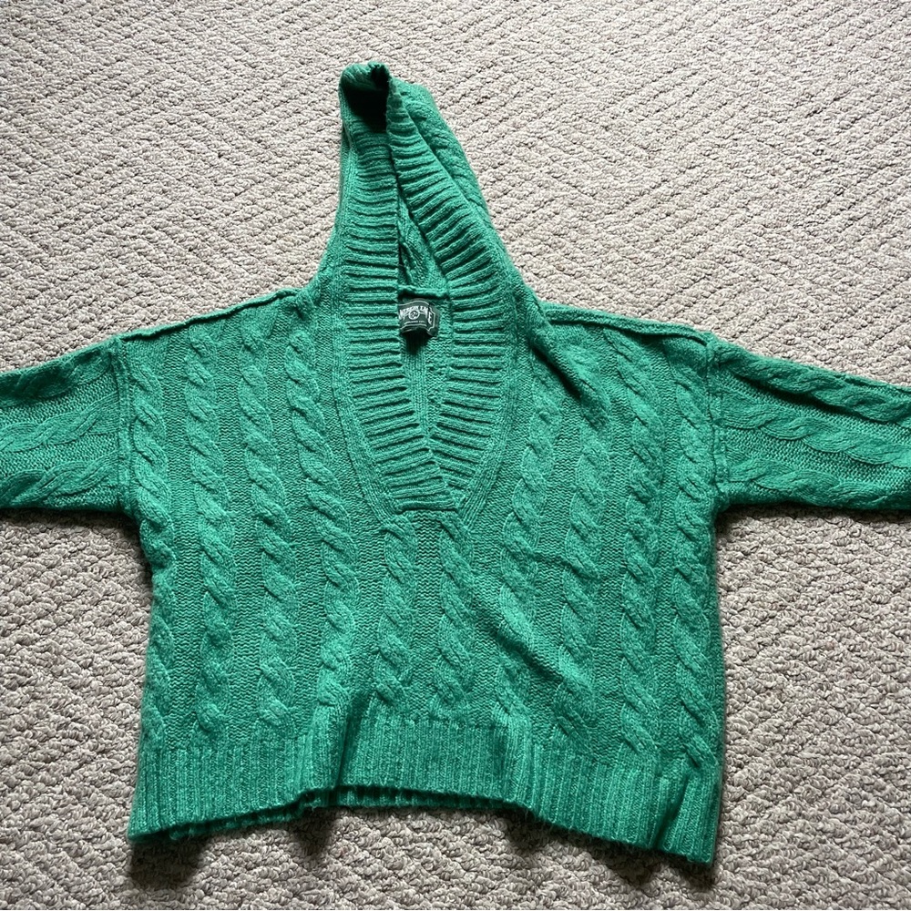 American Eagle Cropped Hooded Sweater